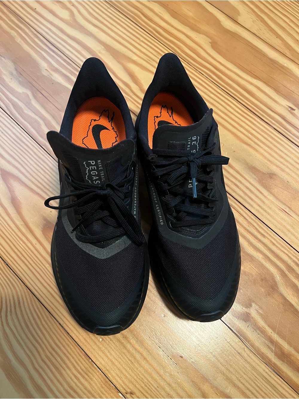 Women’s Nike Pegasus Trail 36 GTX Running Shoes – Size 10.5